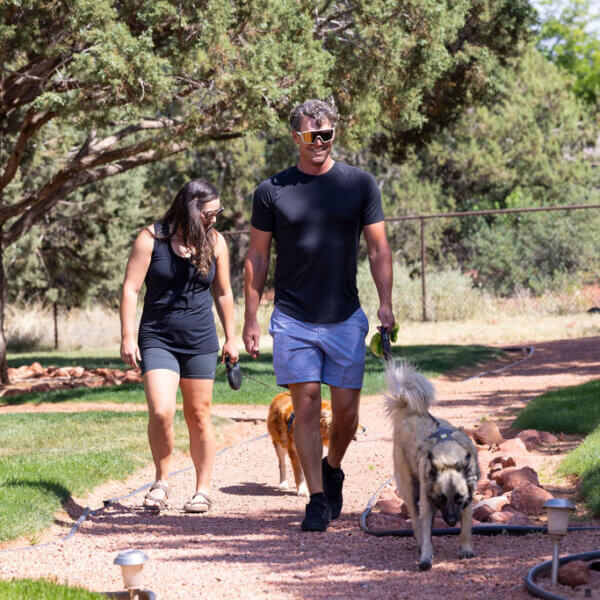 Couple walking two dogs in dog park on property.